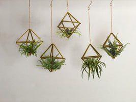 Hanging Plant Ornaments